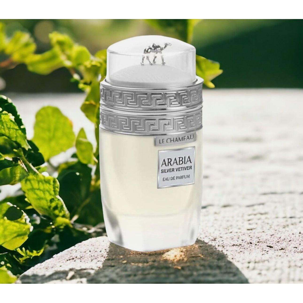 ARABIA SILVER VETIVER BY LE CHAMEAU