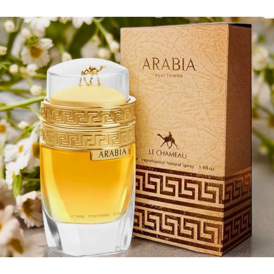 ARABIA BY LE CHAMEAU